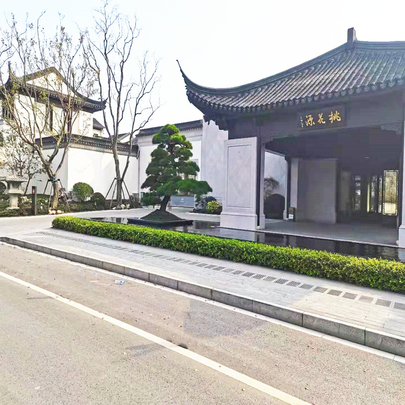 2025年正版全年资料大全