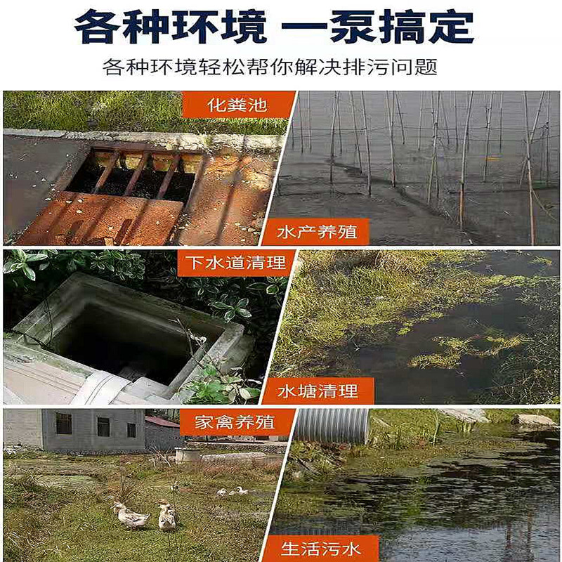 2025年正版全年资料大全