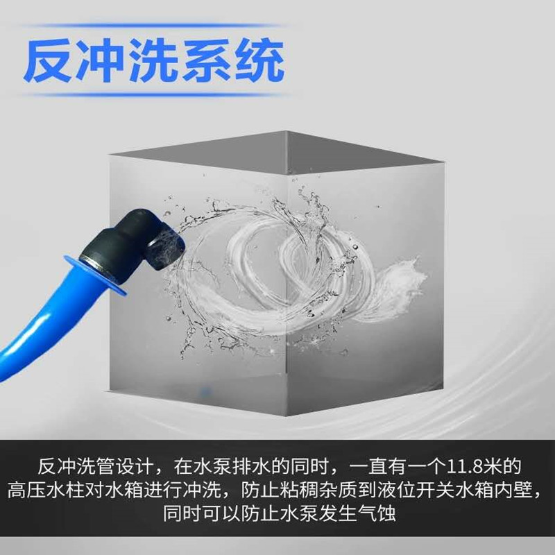 2025年正版全年资料大全